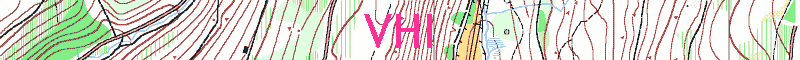 VHI